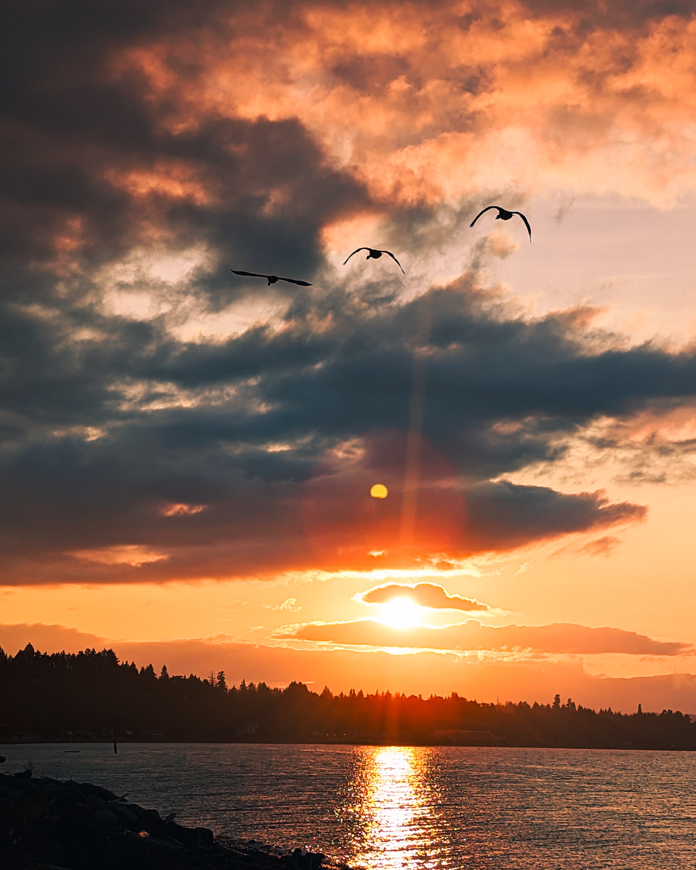2022-09-15_Ocean-Sunset-Birds.jpg